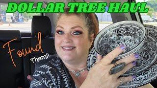 DOLLAR TREE HAUL | I Can't Believe I Found Them | June 24, 2024