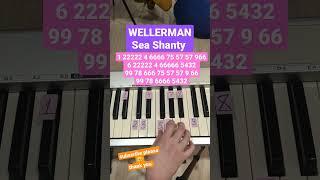 Wellerman Sea shanty  #shorts #piano #easypiano #пианинодляначинающих #pianotutorial #tiktok #top