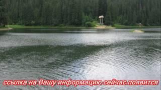 Видео как без денег зарабатывают в интернете