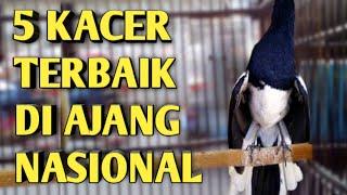 5 DAFTAR KACER TERBAIK 2019/2020.kacer terbaik 2020.kacer terbaik 2021