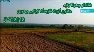 Agriculture land for Modern goat farming | Agricultural land in punjab | Pakistan zameen