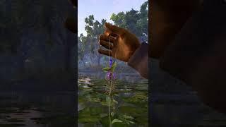 Keep Backlash with weed to get an Invisible line, Fishing planet #shortsgameplay