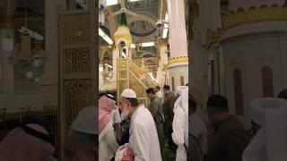 Rawdah Riaz Ul Jannah | Piece of Paradise #rawdah #masjidnabawi #madinah #riazuljannah #hajj2023