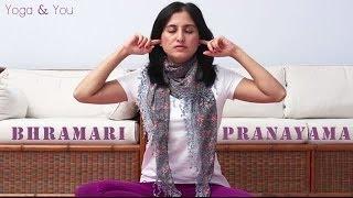 How to do Bhramari Pranayama (Bee Breathing Technique) | Ventuno Yoga and You