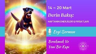 Bırakmak ve Yeni bir Kapı  | Derin Bakış: Haftanın Enerjileri & Fırsatları