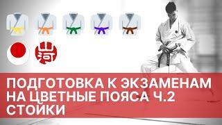 Подготовка к экзаменам по каратэ: часть 2, стойки