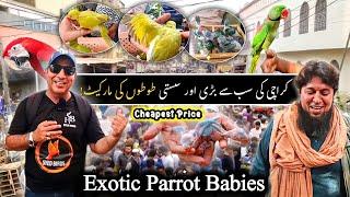 Lalukhet Bird's Market 2025 Latest Update Cheapest Exotic Parrot & Biggest Urdu/Hindi@SYEDBIRDS