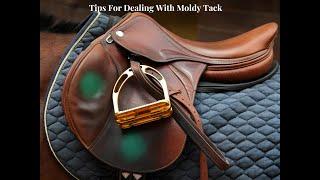 How to deal with moldy tack