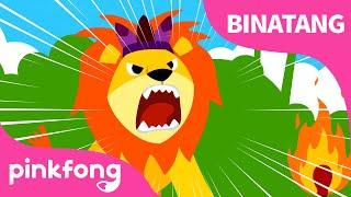 Singa | Lagu Binatang & Hewan | Binatang Liar | Lagu Anak Bahasa Indonesia | Pinkfong dan Baby Shark