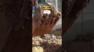 slush area road excavation with excavator #construction #sitework #viral