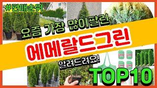 에메랄드그린 추천 판매순위 Top10 || 가격 평점 후기 비교