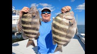 Big Ole SHEEPSHEAD... Fall Fishing  Watch Scott crank em in and find out what bait, where & how!