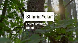 Immerse yourself with doTERRA Shinrin-Yoku