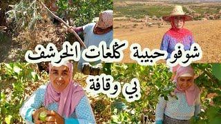 حبيبة درت جولة ممتعة وسط الطبيعة في البادية 