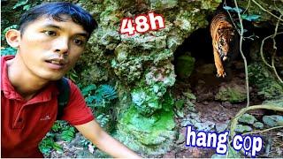 CHẠY Đi ( HỔ Rừng ) Đã Từng Ở Đây ? 48H Sinh Tồn 1 Mình Trên Đồi Hang CỌP