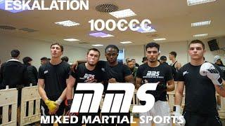 MMS Chapter 2 ESKALATION 69-79 kg // MMS Boxturnier Chapter 2 //