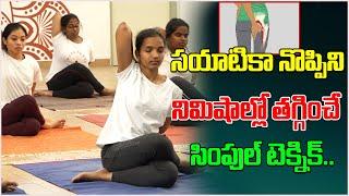 Exercises to Get Sciatic Pain Relief | Sciatic Pain  | Exercise | Yoga | Tree Media