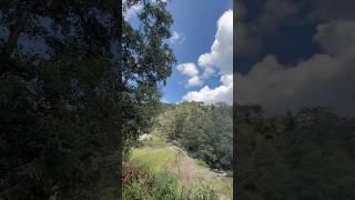 #foryoupage #short #peace #nature #hikingadventures