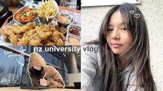 productive nz university vlog 