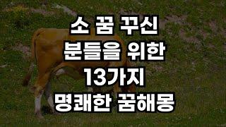 절대 무시해서는 안되는 13가지 소 꿈 해몽