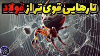 چرا ابریشم تار عنکبوت حتی از فولاد قوی‌تر است؟