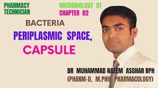 Periplasmic space|Capsule|Bacteria|Microbiology|Pharmacy Technician|Dr MuhammadNaeemAsgharPharmacist