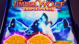 NEW TIMBERWOLF TRIPLE POWER SLOT #slotman #wow #win #casino #slots #timberwolf #chumashcasino