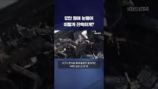 12만 원 때문에 사람 해치고 유기까지 한 40대 남성 #shorts / KBS