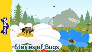 Bugs Adventure! Meet Honey Bees, Ants, Caterpillars & More! | Little Fox