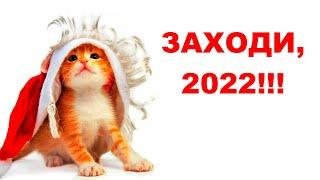 "МОЙ ГОРОД ВСТРЕЧАЕТ 2022 ГОД!". Видеозарисовка № 224