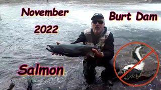 Burt Dam Trout & Salmon Fishing - November 2022