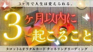 【大事な夏になりそうです】3カ月以内に起こること［タロット・オラクルカードリーディング＆チャネリング］