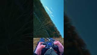 How to become a bird #shorts #fpvdrone #fpvfreestyle #gaming