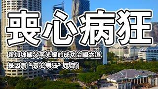 新加坡国父李光耀的成功治国之道，是因为“丧心病狂”反腐！| 全球視窗 |#东南亚 #新加坡 #李光耀 #全球视窗