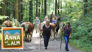 Das Abenteuer beginnt | Reportage für Kinder | Anna auf der Alm | #1