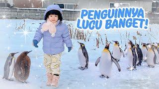 YUKA-CHAN MAIN SAMA PENGUIN DI JEPANG! | a day in our life