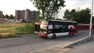 OC Transpo: Alexander Dennis Enviro500 8176 - "New Kid on The Block"