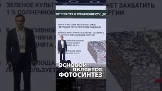 Старые заповеди кочевников больше не работают. Новый взгляд на экономику фермы от Ринальдо Маллямова