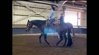 SOLD 2013 AQHA/ABRA/NSBA/Pinto gelding - Tails