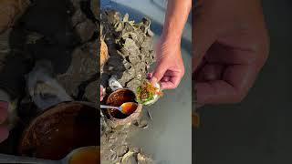 Wow Oyster Very Fresh Very Delicious #fishing #viral #viralvideo #fyp #fypシ #thanks