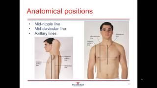 Medical Terminology Video