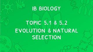 IB Biology Topic 5.1 & 5.2: Natural Selection & Evolution