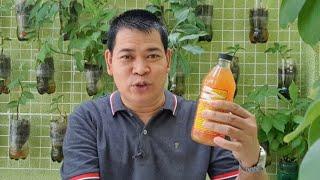 APPLE CIDER VINEGAR: PAMPATATAG NG UGAT AT STEM NG HALAMAN