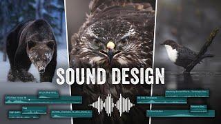 SOUND DESIGN for your WIlDLIFE videos