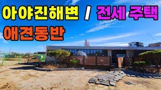 (추천매물) 애견과 바닷가인근 시골생활 전세주택 ㅣ 고성군  아야진해변 3분거리