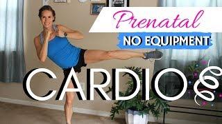 Prenatal Cardio Workout [No Equipment] | 1st, 2nd, 3rd Trimester Safe