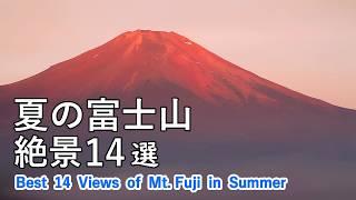 Best 14 superb views of Mt. Fuji in summer [ 4K ]