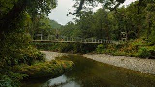 Hiking the Paparoa Track | New Zealands Great Walks | Episode 5