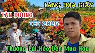 Tết 2025 Làng Hoa Giấy Thương Lái Kéo Đến Mua Hoa Giấy Cháy Hàng