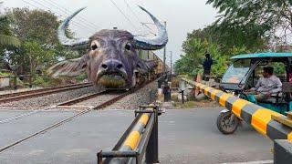 Dangerous Buffalo Headed Teesta Torsa Express Furiously Crossing at Railgate